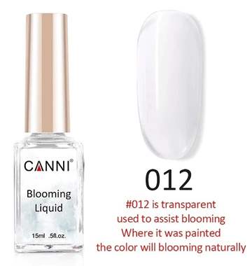 לק ג'ל צבעי מים CANNI 012 קאני : image 1